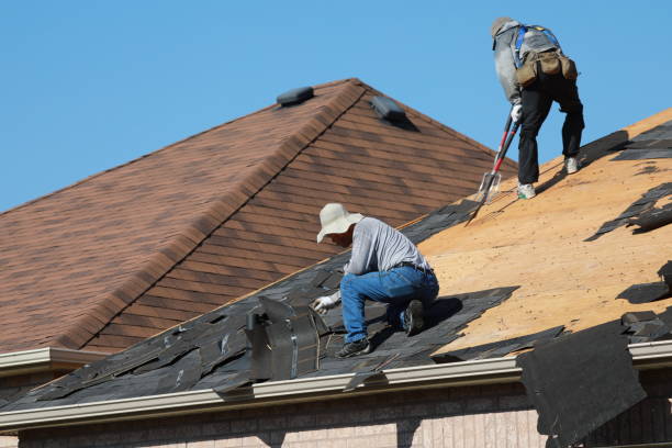 Best Skylight Installation and Repair  in Prairie Ridge, WA